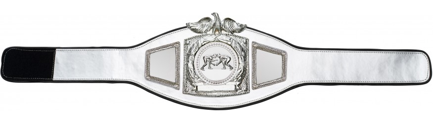 PROEAGLE GRAPPLING CHAMPIONSHIP BELT - PROEAGLE/S/GRAPS - AVAILABLE IN 6+ COLOURS